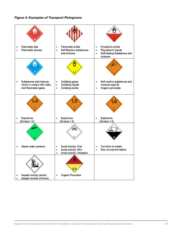 Page 23: Figure 4: Examples of Transport Pictograms