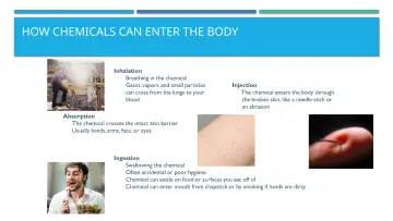 Slide 6: HOW CHEMICALS CAN ENTER THE BODY