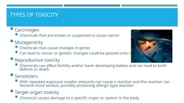 Slide 8: TYPES OF TOXICITY