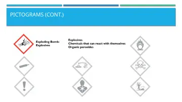 Slide 23: PICTOGRAMS (CONT.)