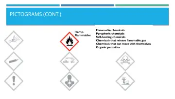 Slide 24: PICTOGRAMS (CONT.)