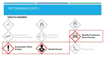 Slide 28: PICTOGRAMS (CONT.)