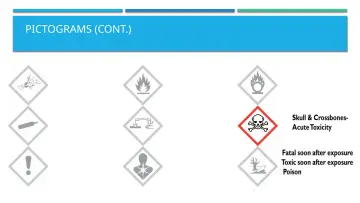 Slide 29: PICTOGRAMS (CONT.)