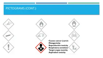 Slide 31: PICTOGRAMS (CONT.)
