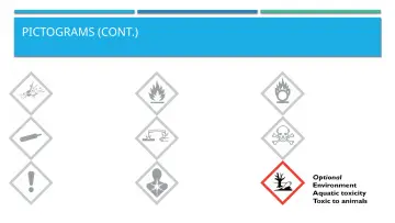 Slide 32: PICTOGRAMS (CONT.)