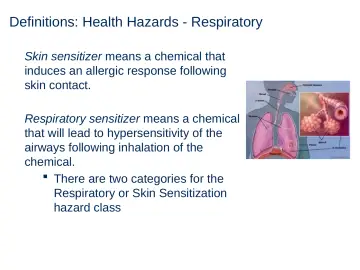 Slide 31: Definitions: Health Hazards - Respiratory