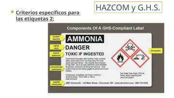 Slide 15: Criterios específicos para las etiquetas 2: