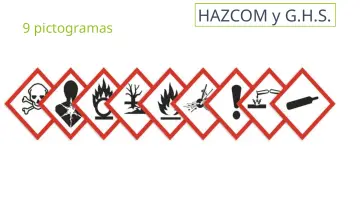 Slide 20: 9 pictogramas