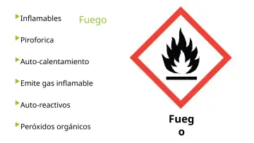 Slide 22: Fuego