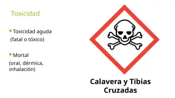 Slide 26: Toxicidad