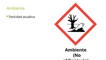 Slide 29: Ambiente