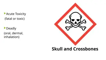 Slide 27: Acute Toxicity