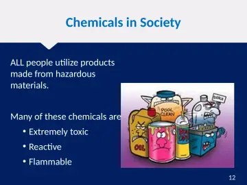 Slide 12: Chemicals in Society
