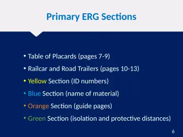 Slide 6: Primary ERG Sections