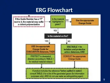 Slide 9: ERG Flowchart