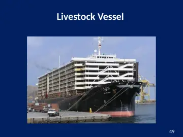 Slide 49: Livestock Vessel