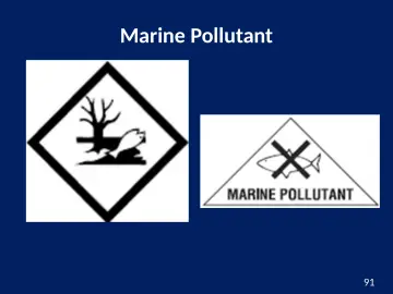 Slide 91: Marine Pollutant