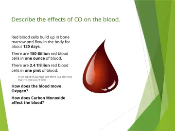 Slide 14: Describe the effects of CO on the blood.