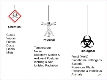 Slide 10: Chemical