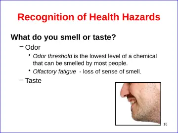 Slide 16: Recognition of Health Hazards