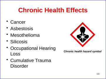 Slide 111: Chronic Health Effects