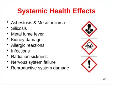Slide 115: Systemic Health Effects