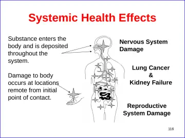 Slide 116: Systemic Health Effects