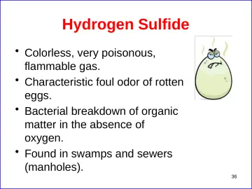 Slide 36: Hydrogen Sulfide