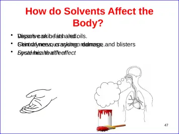 Slide 47: How do Solvents Affect the Body?