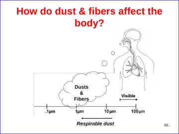 Slide 65: How do dust & fibers affect the body?