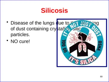 Slide 69: Silicosis