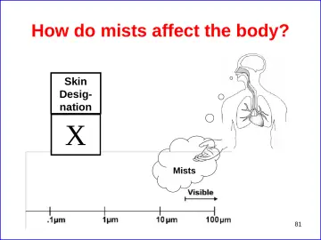 Slide 81: How do mists affect the body?