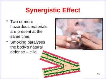 Slide 85: Synergistic Effect