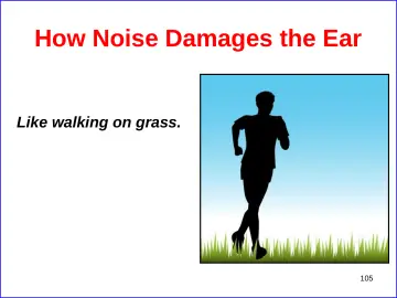 Slide 105: How Noise Damages the Ear