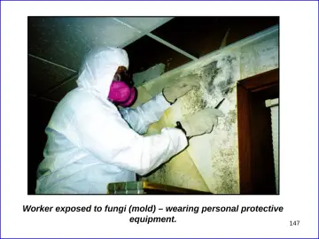 Slide 147: Worker exposed to fungi (mold) – wearing personal protective equipment.