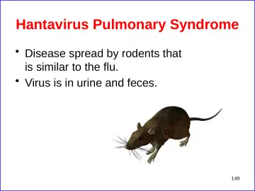 Slide 149: Hantavirus Pulmonary Syndrome
