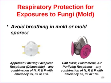 Slide 150: Respiratory Protection for Exposures to Fungi (Mold)