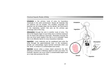 Page 26: Chemical Hazards Routes of Entry