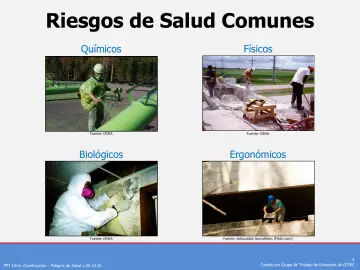 Slide 4: Riesgos de Salud Comunes