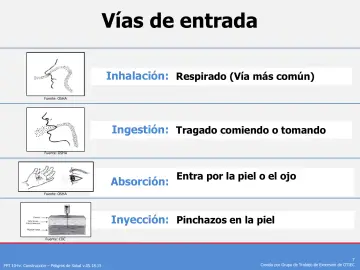 Slide 7: Vías de entrada