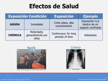 Slide 8: Efectos de Salud