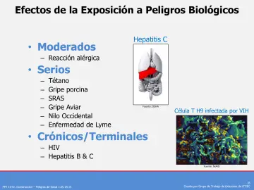 Slide 16: Moderados