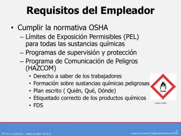 Slide 21: Requisitos del Empleador