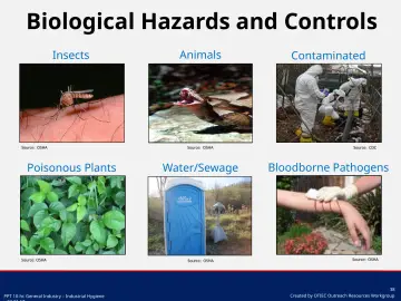 Slide 38: Biological Hazards and Controls