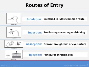 Slide 7: Routes of Entry