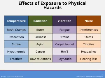 Slide 12: Effects of Exposure to Physical Hazards