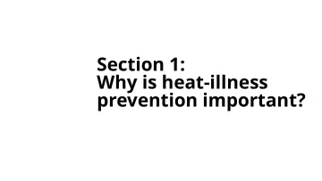 Slide 4: Section 1: