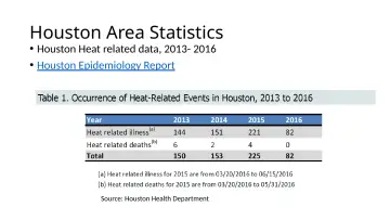 Slide 8: Houston Area Statistics