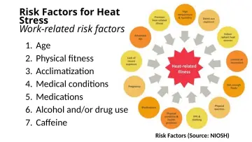 Slide 19: Risk Factors for Heat Stress