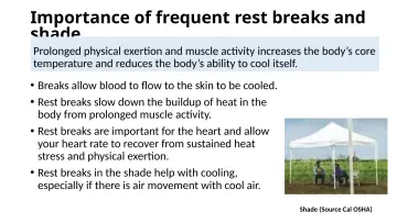 Slide 29: Importance of frequent rest breaks and shade